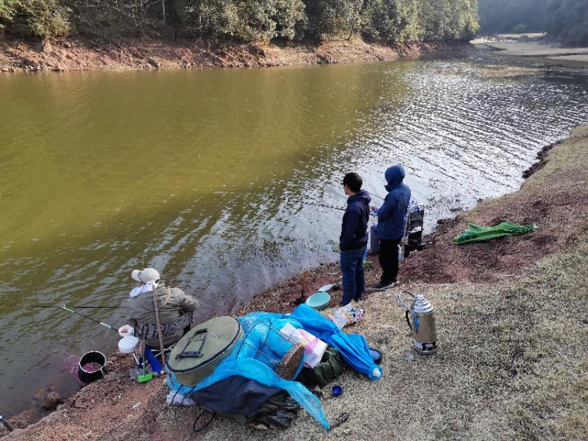 最新水庫釣魚(yú)視頻，探索釣魚(yú)樂(lè )趣與技巧全攻略