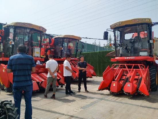 邳州玉米最新價格，時代見證下的市場動態(tài)