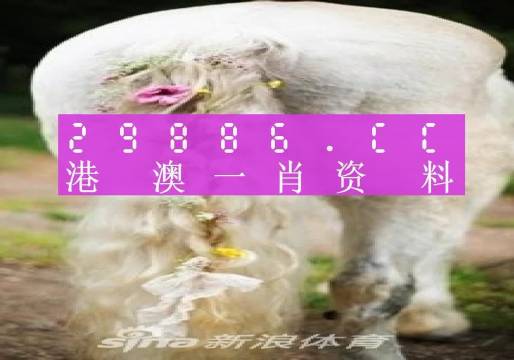 澳門(mén)四不像精準一肖一碼,數據分析計劃_UVR10.888智慧版
