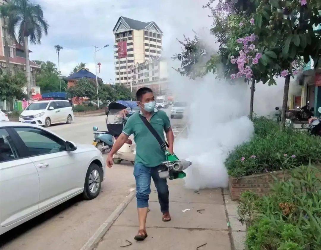 景洪登革熱最新疫情動(dòng)態(tài)，挑戰與自信之光的博弈