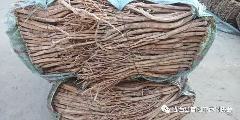 渭源黨參干貨最新價(jià)格及獲取指南，了解黨參干貨價(jià)格走勢與行情分析