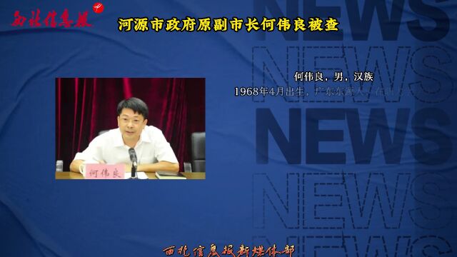 何偉良最新任免揭曉，日常故事中的溫馨轉折