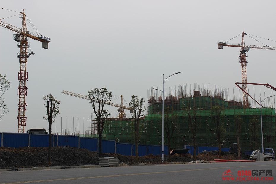 池州麒麟公館最新動(dòng)態(tài)揭秘，最新進(jìn)展與資訊更新