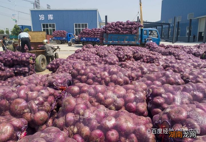 工程廠(chǎng)房燈具 第306頁(yè)