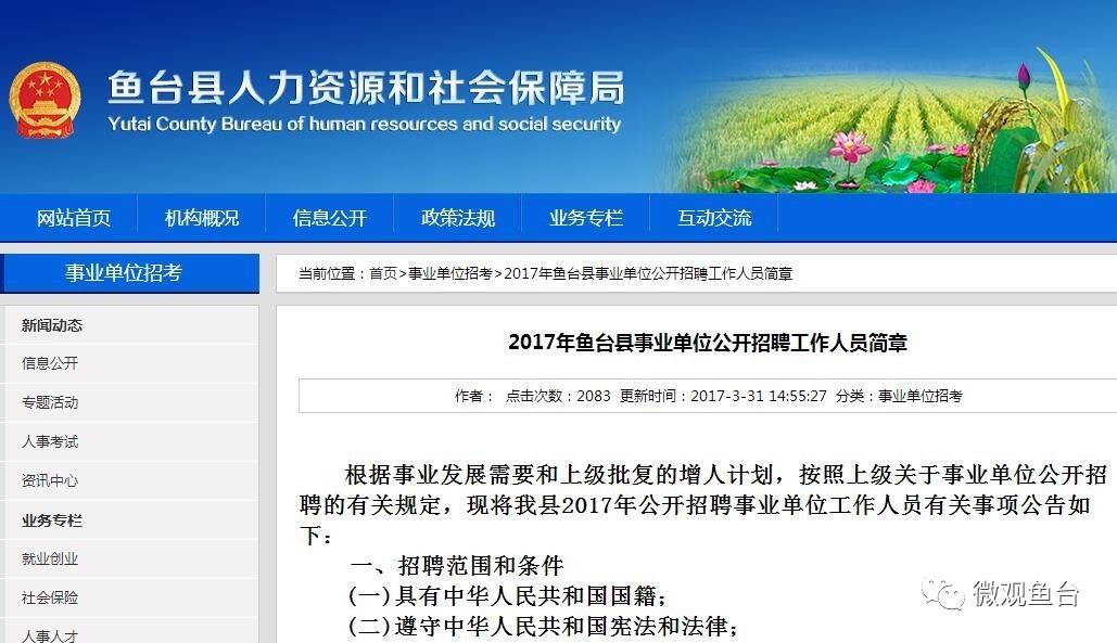 魚(yú)臺最新招聘信息大全，求職步驟指南與招聘信息更新速遞