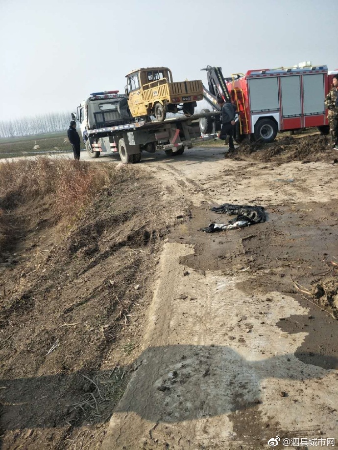 泗縣車(chē)禍悲劇，警醒與深思背后的最新新聞報道