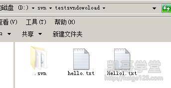Jav最新網(wǎng)址探索，小巷深處的獨特風(fēng)味之旅