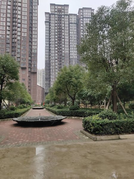 南陽(yáng)盛世御苑最新動(dòng)態(tài)揭秘，全面指南與步驟詳解