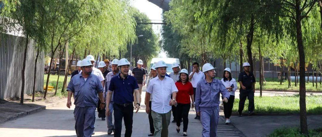 最新鍋爐工招聘信息揭秘，鍋爐工的溫馨日常故事探索