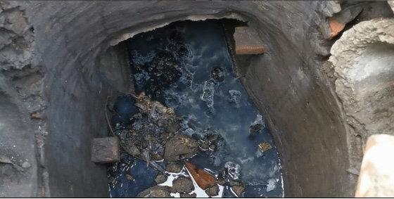 遂寧市電子廠(chǎng)最新招聘，與自然共舞，探尋內心寧靜之旅