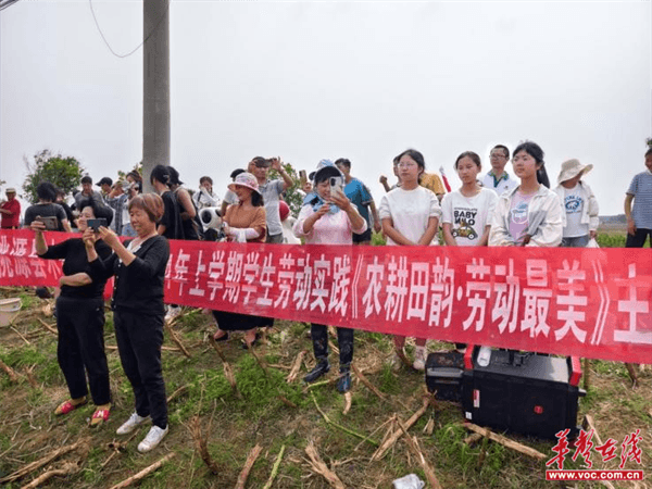 桃源木塘垸鄉新動(dòng)態(tài)，趣事連連，真摯友情綻放鄉間