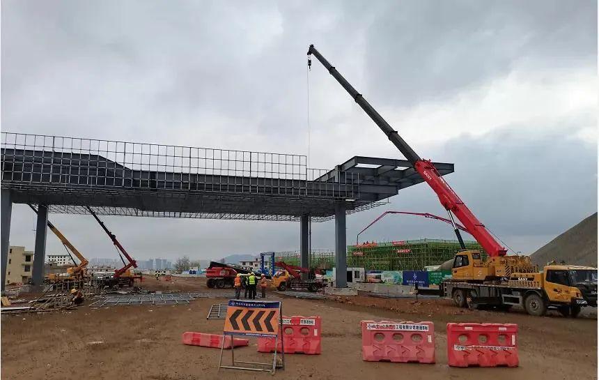 深度解析與探討，最新元龍劇情分析