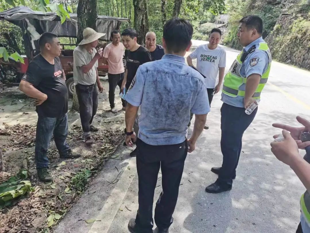 慶元最新事件，引領(lǐng)科技潮流的高科技產(chǎn)品揭秘