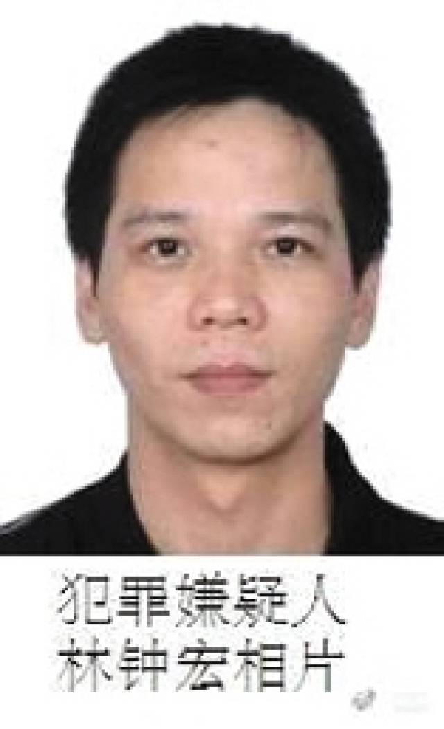 張宸案最新進(jìn)展，城市生活的溫馨日常關(guān)注