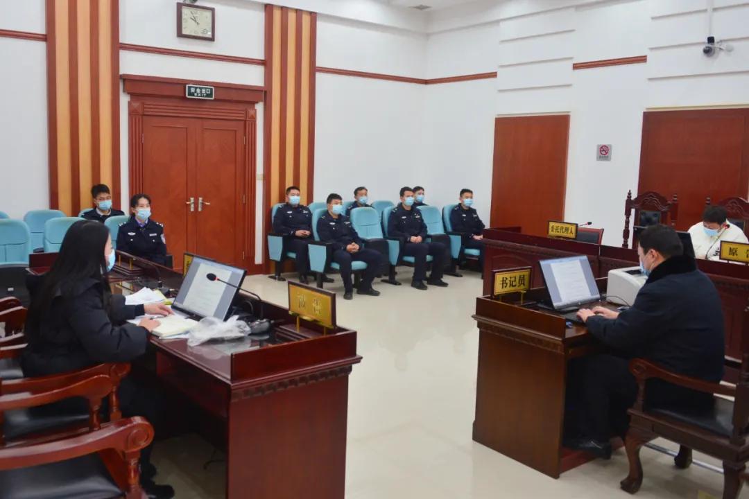 憲法案件最新動(dòng)態(tài)，小巷深處的情懷與特色小店的奇遇