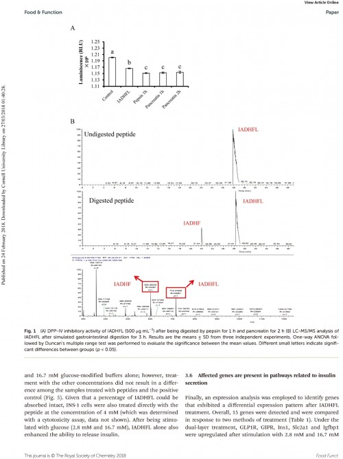 糖肽最新文獻，自然之旅的心靈探尋之旅，尋找內心的寧靜