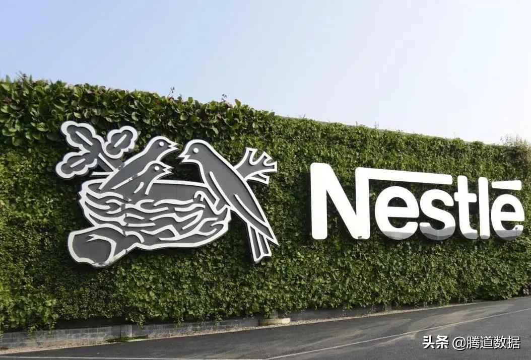 最新電力資訊探秘，巷弄深處的電力奇趣小店