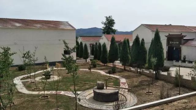 上莊最新動(dòng)態(tài)，綠意盎然的新居生活????