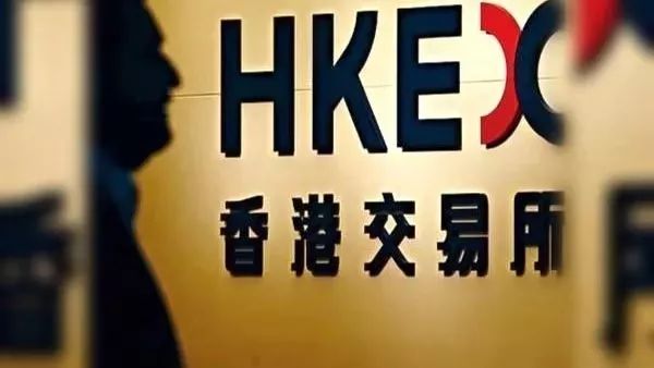 海外歸來(lái)最新動(dòng)態(tài)，全面解讀最新資訊