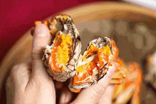 ??陽(yáng)澄湖螃蟹上市季節情報，吃貨必知的秋季美味盛宴！??