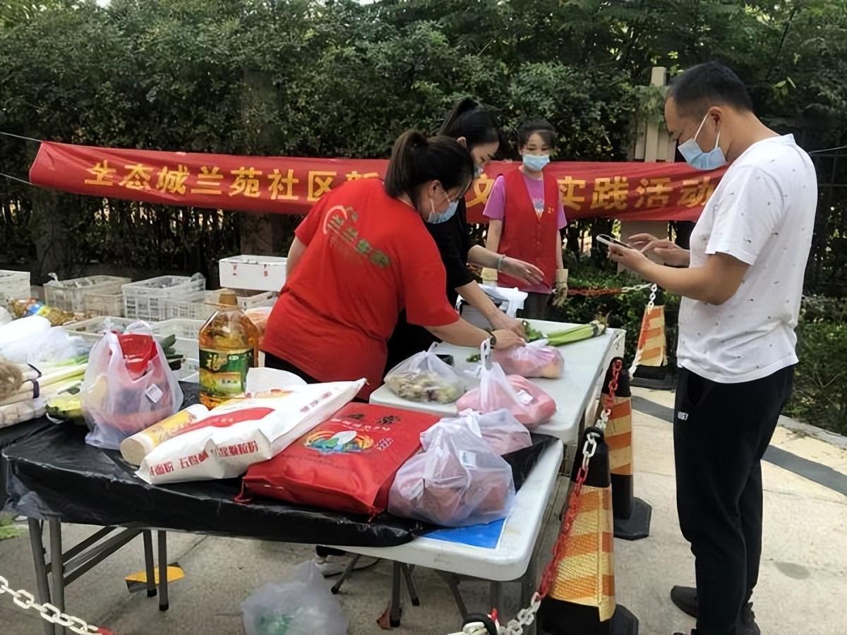 保利華潤紫云價(jià)格深度解析，探尋背后的故事與地位影響