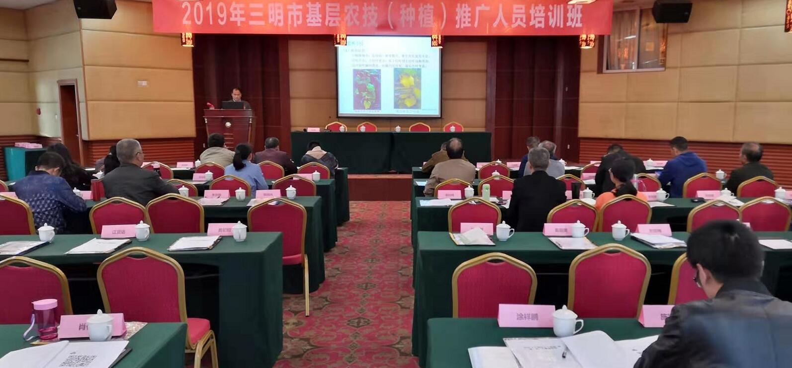 豇豆最新，廚房中的友情與家的溫馨