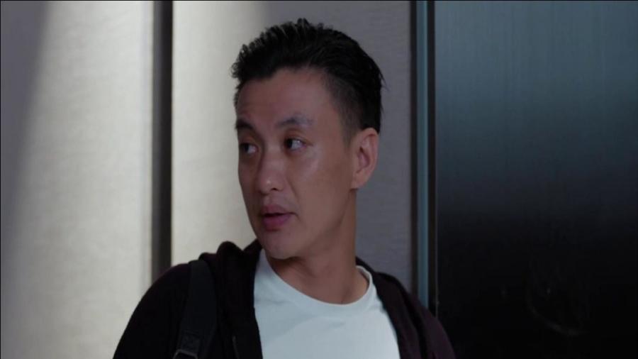 郭鑫年最新動(dòng)態(tài)揭秘，小巷特色小店探索之旅