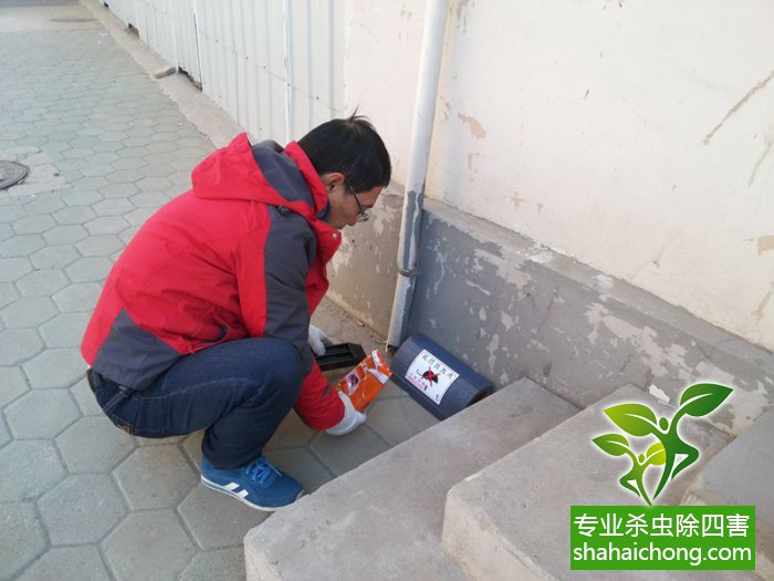 最新滅鼠技術(shù)的觀(guān)點(diǎn)論述與立場(chǎng)闡述，創(chuàng  )新方法的探索與挑戰