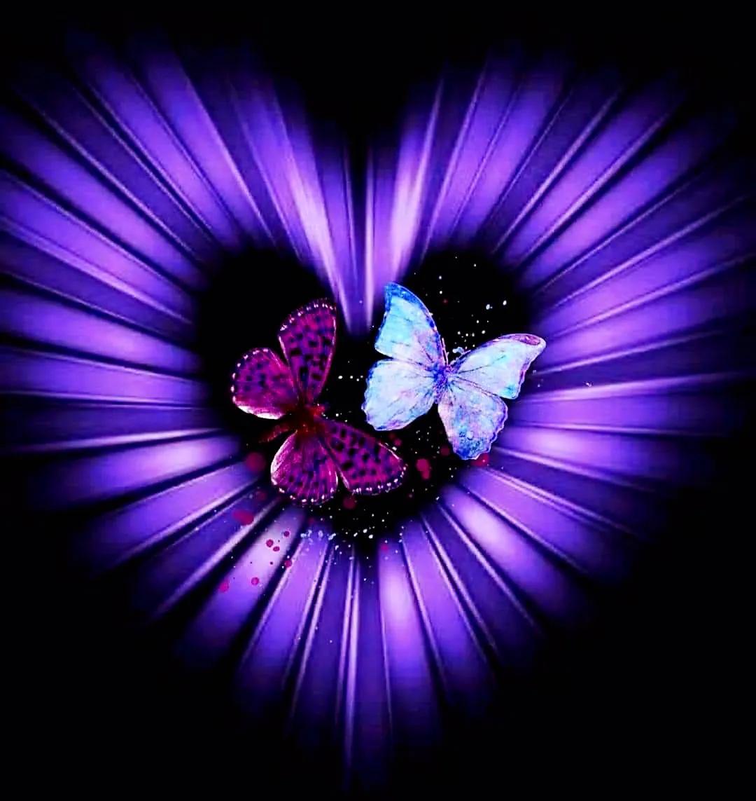 最新情感交流圈，學(xué)習、成長(cháng)與自信的力量之源