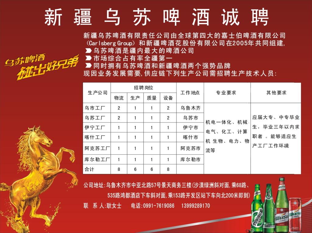 烏蘇政府最新招聘公告，應聘指南全解析