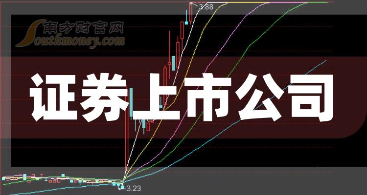 科技巨頭引領(lǐng)下的全新視界，股票上市公司概覽