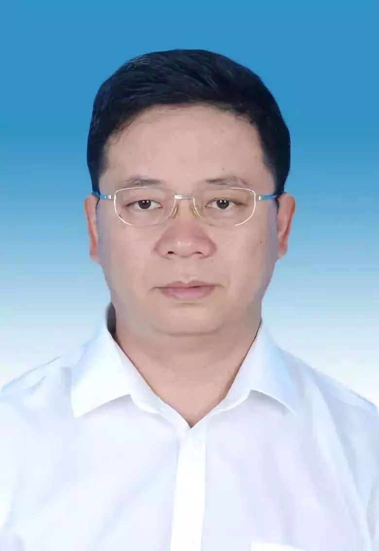 開(kāi)遠市干部任免信息詳解，最新任免指南與動(dòng)態(tài)更新