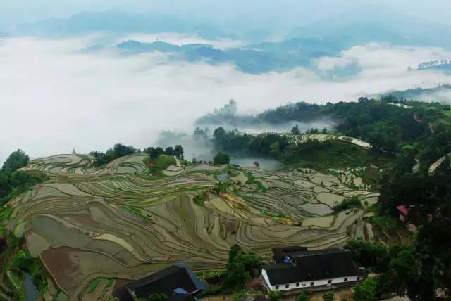 石柱楓木鄉最新動(dòng)態(tài)，自信與成就感的蛻變之路