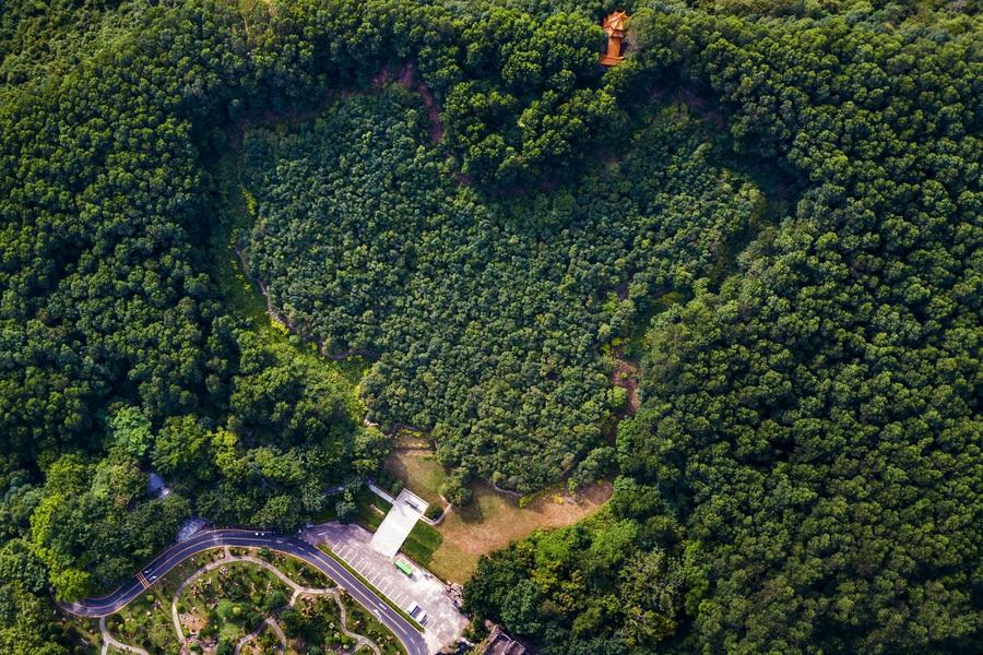 香港演員林，溫馨日常的點(diǎn)滴記錄