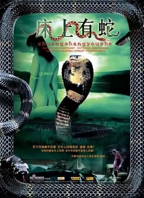 最新蛇片，蛻變的旅程，召喚自信與成就感的冒險之旅