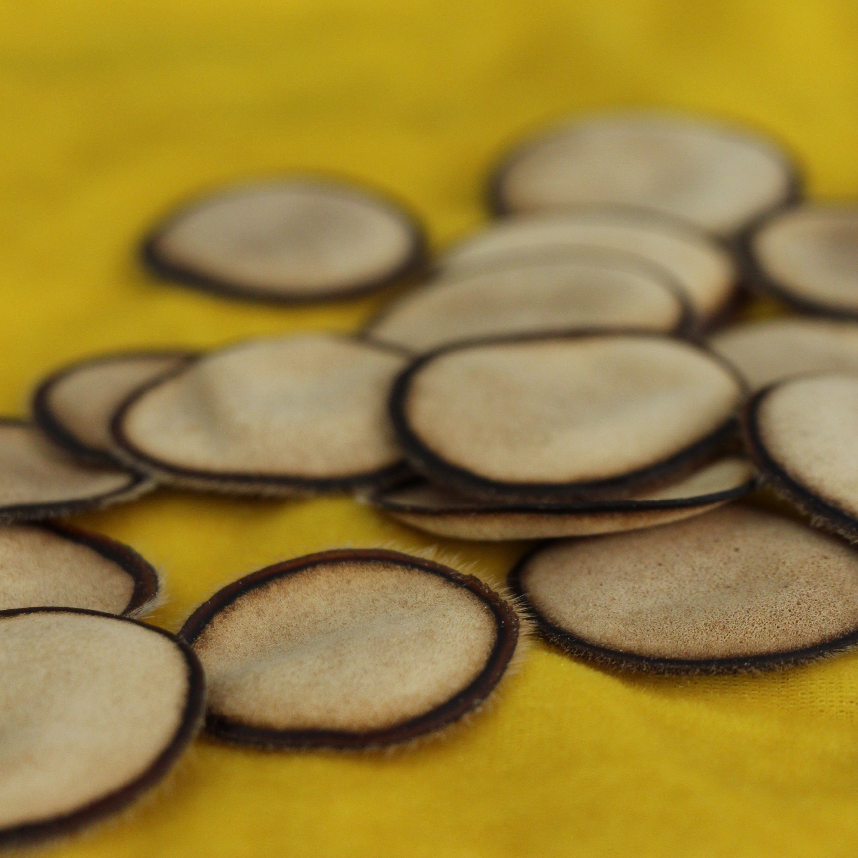 鹿茸片價(jià)格背后的溫情故事揭秘