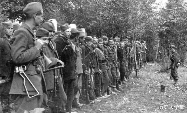 南斯拉夫電影二戰老片，自然美景背后的探索之旅