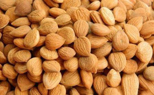 苦杏仁行情深度解析，背景、事件與地位探究