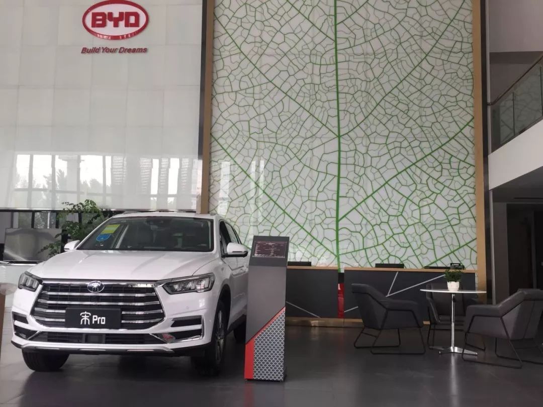 重磅更新，比亞迪最新招聘信息揭秘???