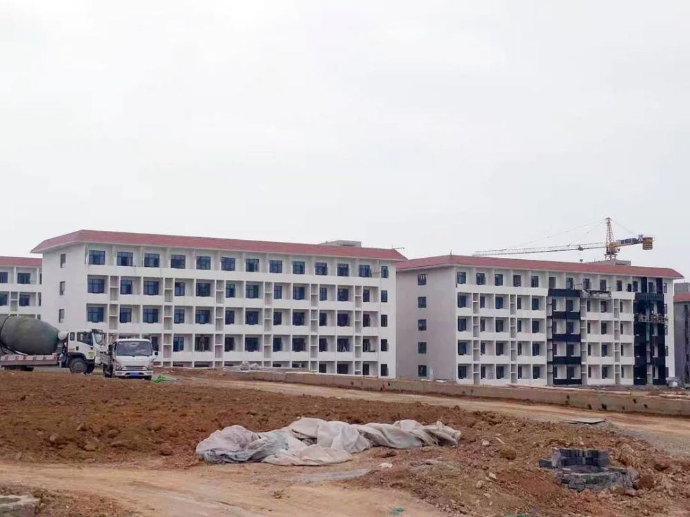 甘谷新聞，大石車(chē)禍最新進(jìn)展及觀(guān)點(diǎn)論述深度解析