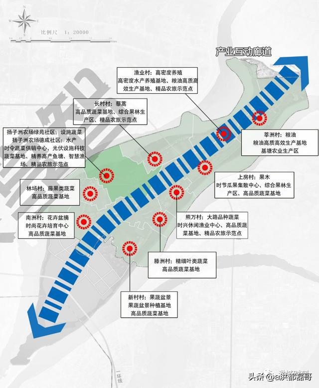 南昌揚子洲未來(lái)藍圖揭曉，最新規劃描繪未來(lái)發(fā)展路徑