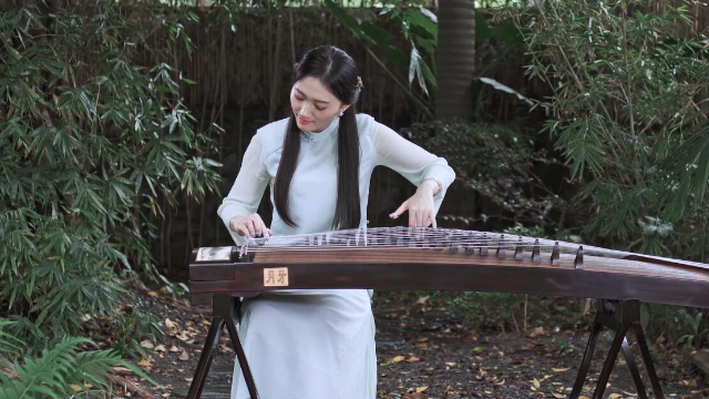抖音最新琵琶演奏，古典與現代的完美融合之美