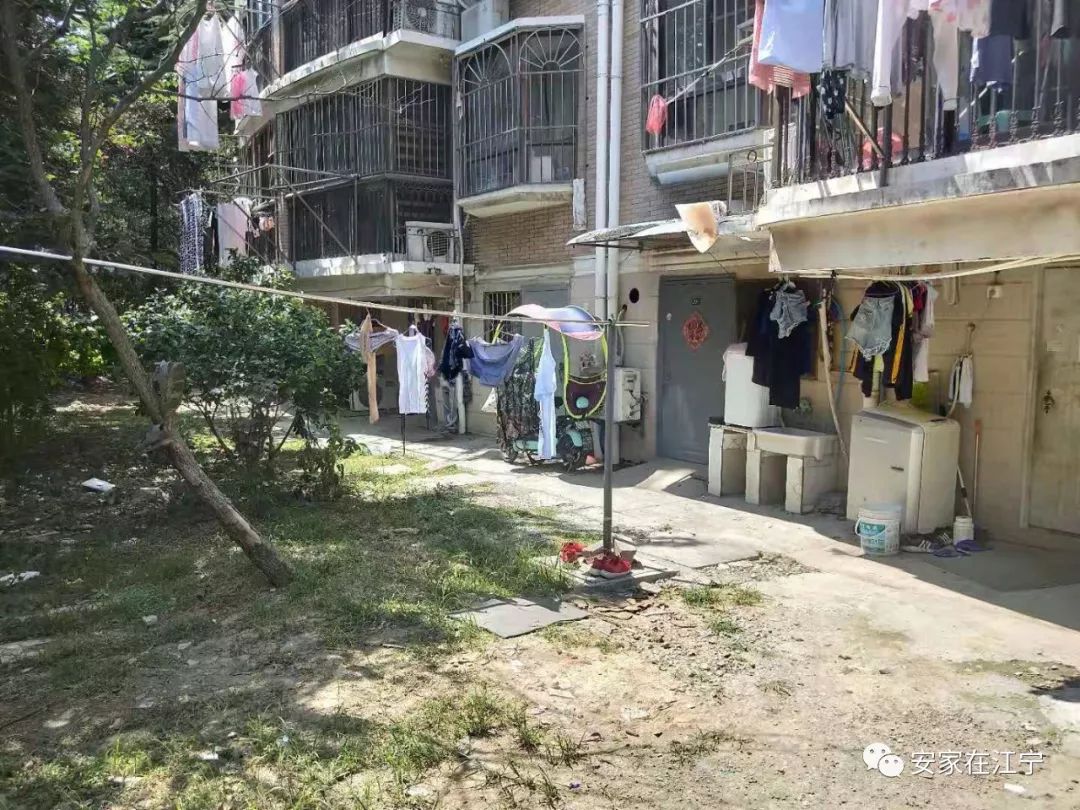 最新大雜亂時(shí)代，混沌與秩序的重建之路