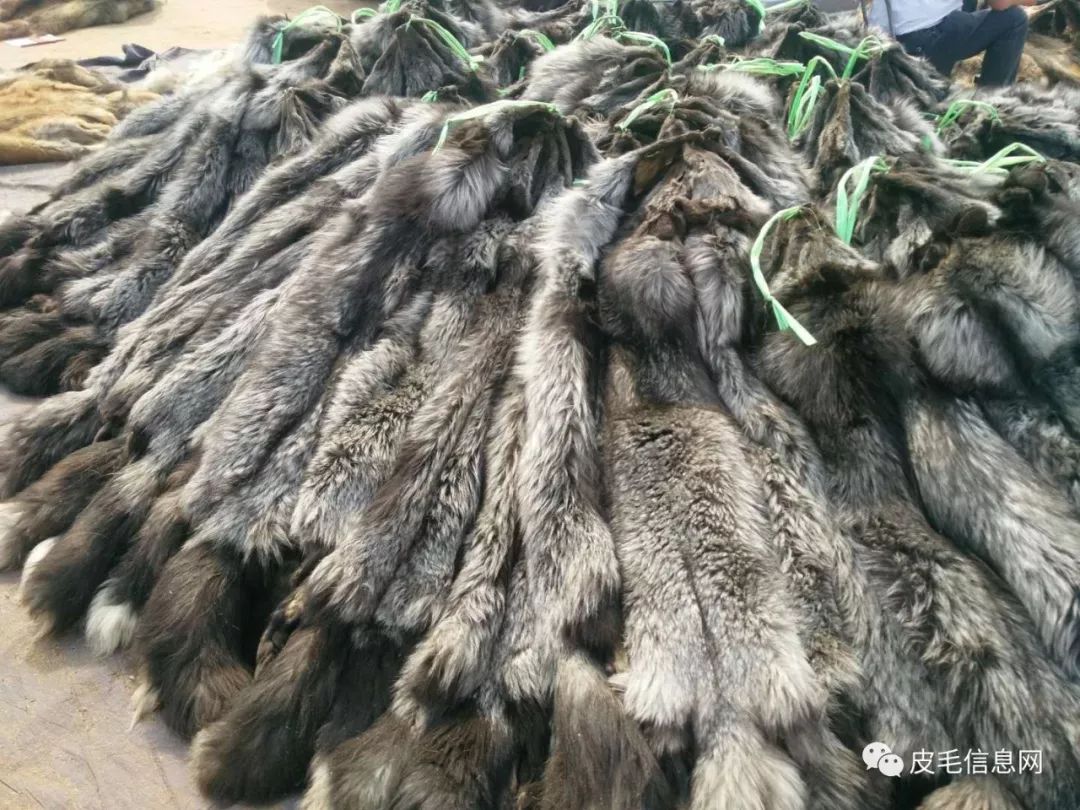 貉皮尚村最新價(jià)格，小巷中的時(shí)尚皮草寶藏探索