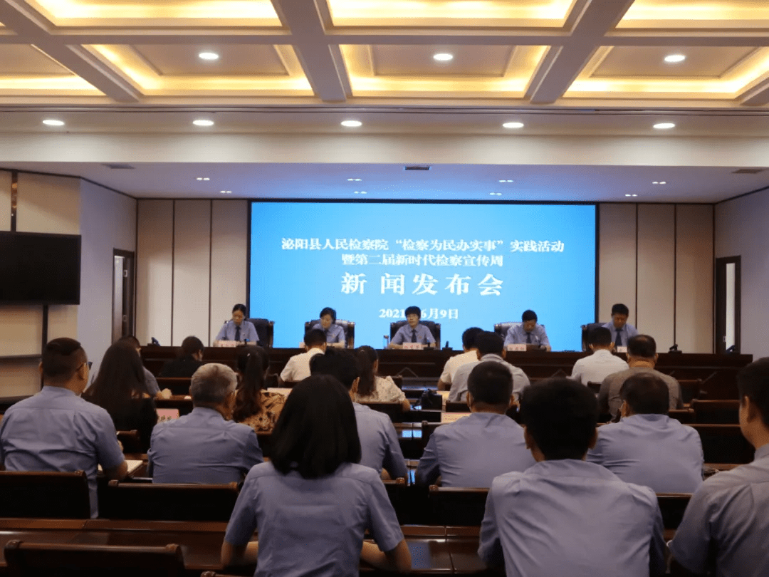 泌陽(yáng)新聞最新動(dòng)態(tài)，多元視角下的觀(guān)察與思考