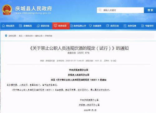 酒駕處罰2024最新標準詳解，步驟指南與更新概覽