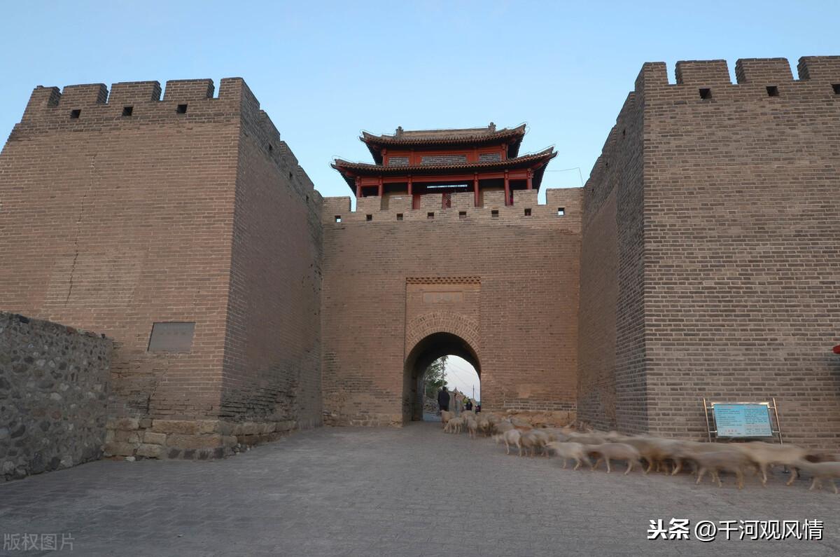 一夜談加急版最新熱點(diǎn)話(huà)題深度探討夜談紀實(shí)