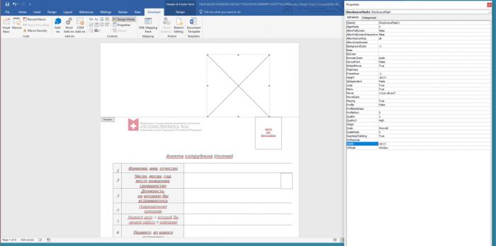 Flash Player官方最新版下載，探索小巷寶藏與特色小店的奇妙之旅