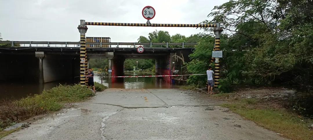 惠陽(yáng)臺風(fēng)最新消息，小巷深處的風(fēng)味秘境