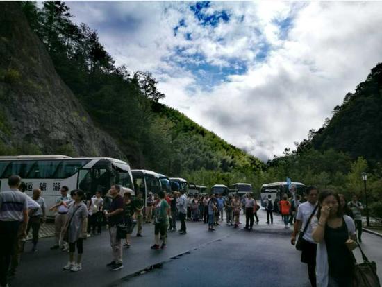 泰順高鐵最新動(dòng)態(tài)更新，最新消息一覽